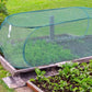 🌱 50% RABATT! ✨ 3-in-1 Pop-Up Pflanzenschutz-Netz – Schützt Vor Insekten, Frost & Sonne, Sofort Aufbaubar & Perfekt Für Garten & Balkon 🌿