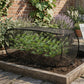 🌱 50% RABATT! ✨ 3-in-1 Pop-Up Pflanzenschutz-Netz – Schützt Vor Insekten, Frost & Sonne, Sofort Aufbaubar & Perfekt Für Garten & Balkon 🌿
