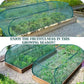 🌱 50% RABATT! ✨ 3-in-1 Pop-Up Pflanzenschutz-Netz – Schützt Vor Insekten, Frost & Sonne, Sofort Aufbaubar & Perfekt Für Garten & Balkon 🌿