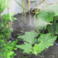 Frei formbare Brausedüse – flexibler Gießaufsatz für Schlauch & Wasser – ideal für Garten, Pflanzen & Balkon💧🌱