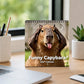 Lustiger Capybara-Wandkalender 2027 🗓️