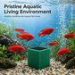 🐟Jetzt 50% sparen! 🐟Aktivkohle-Filterwürfel – unterstützen die Wasserreinigung, reduzieren Gerüche & Verfärbungen – einfach in den Filter geben ✨