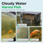 🐟Jetzt 50% sparen! 🐟Aktivkohle-Filterwürfel – unterstützen die Wasserreinigung, reduzieren Gerüche & Verfärbungen – einfach in den Filter geben ✨